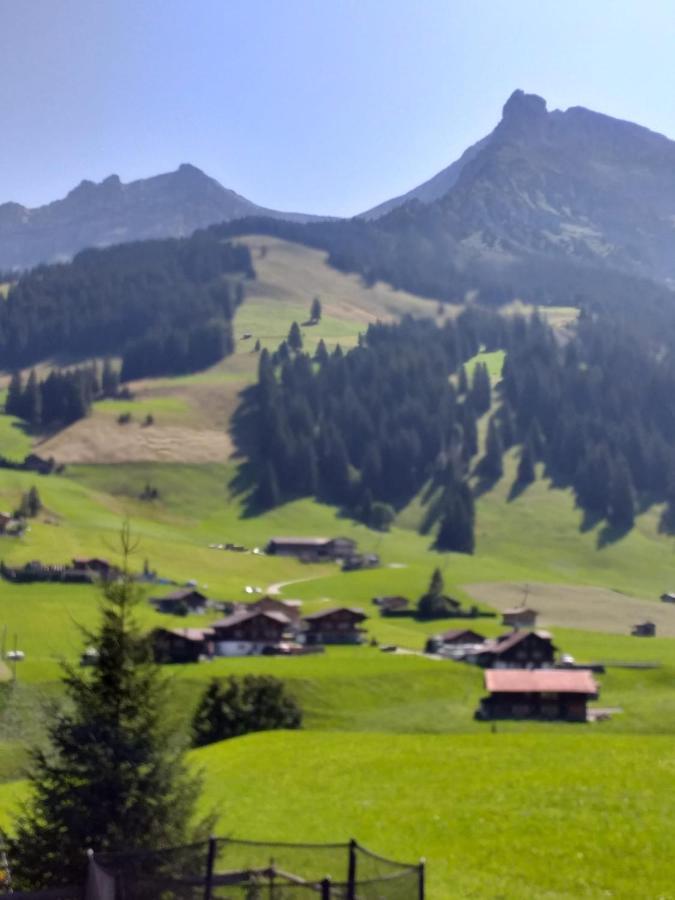 Chalet Aloa Apartment Adelboden Exterior photo