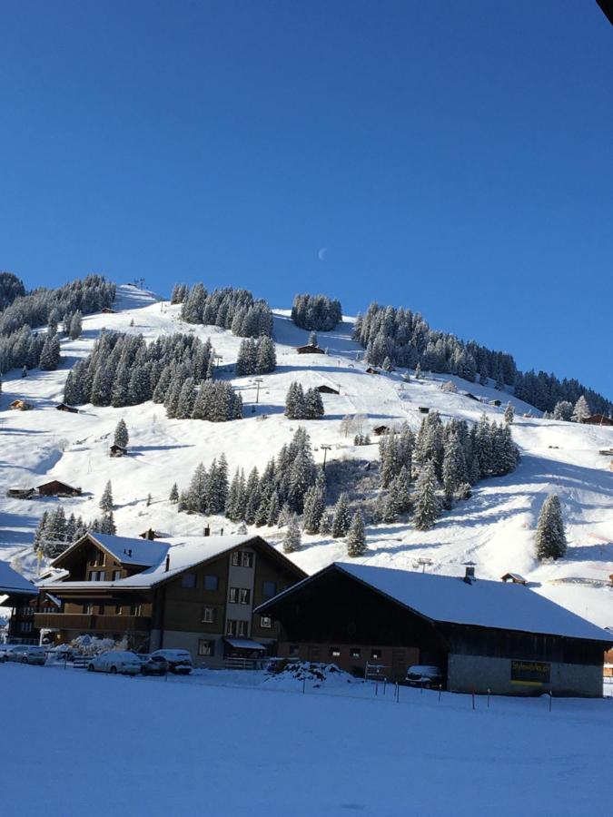 Chalet Aloa Apartment Adelboden Exterior photo