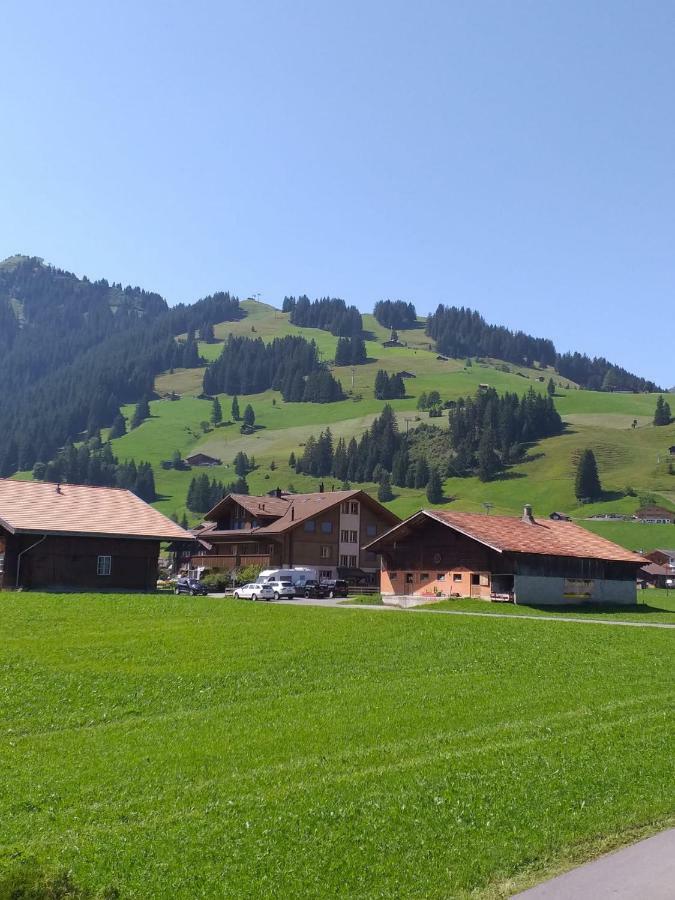 Chalet Aloa Apartment Adelboden Exterior photo